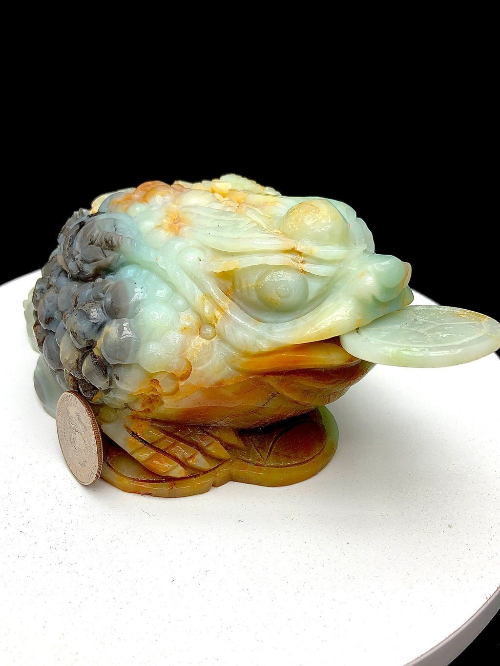 Caribbean Calcite Money Toad