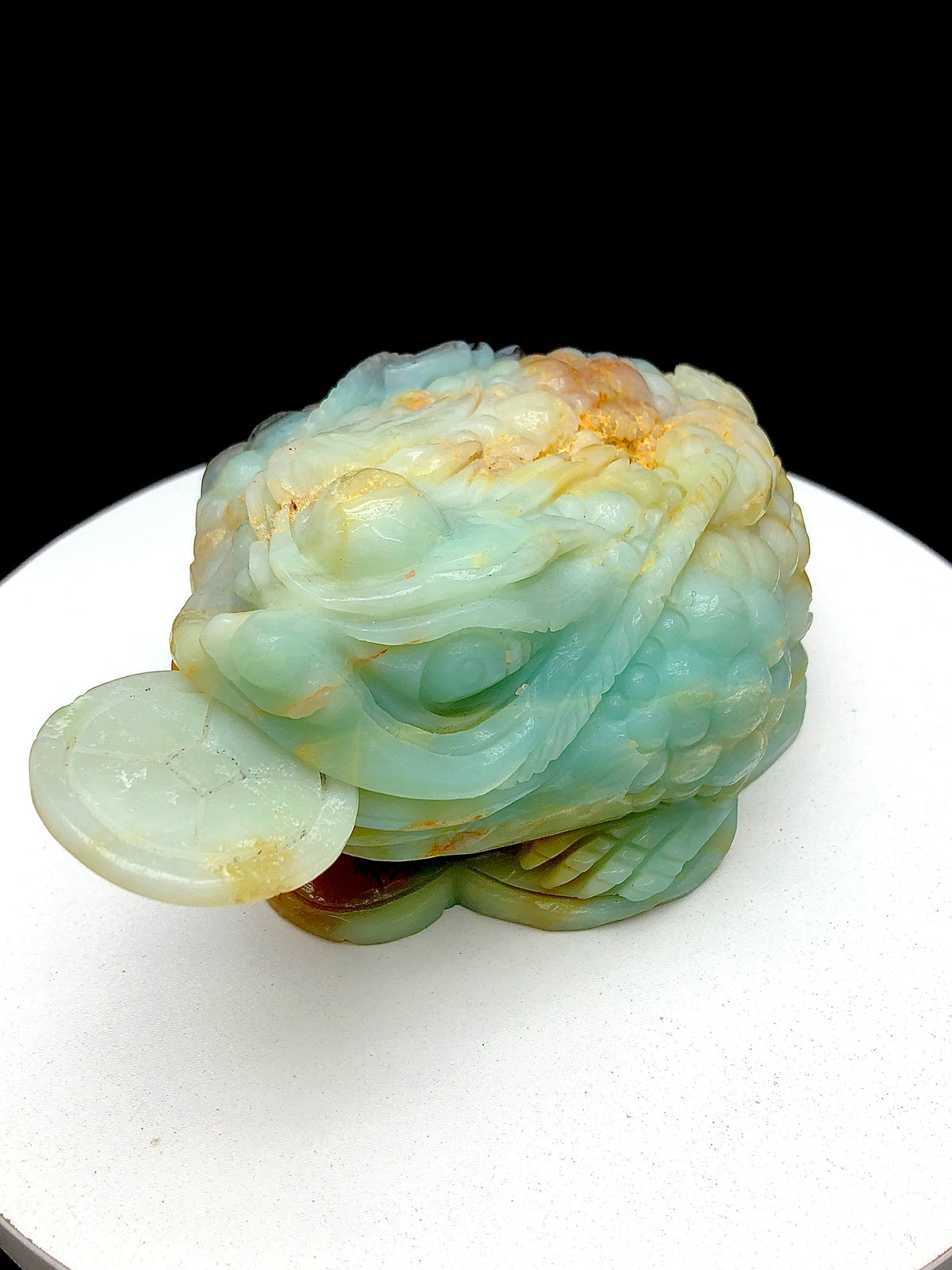 Caribbean Calcite Money Toad