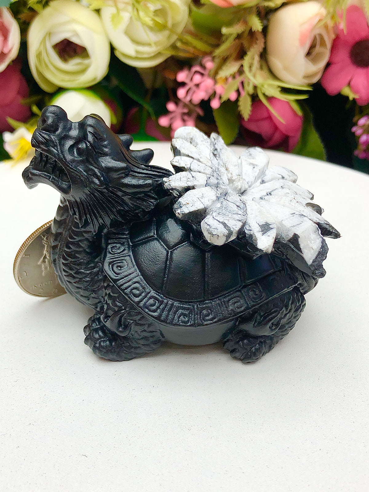 Chrysanthemum Stone Dragon Turtle