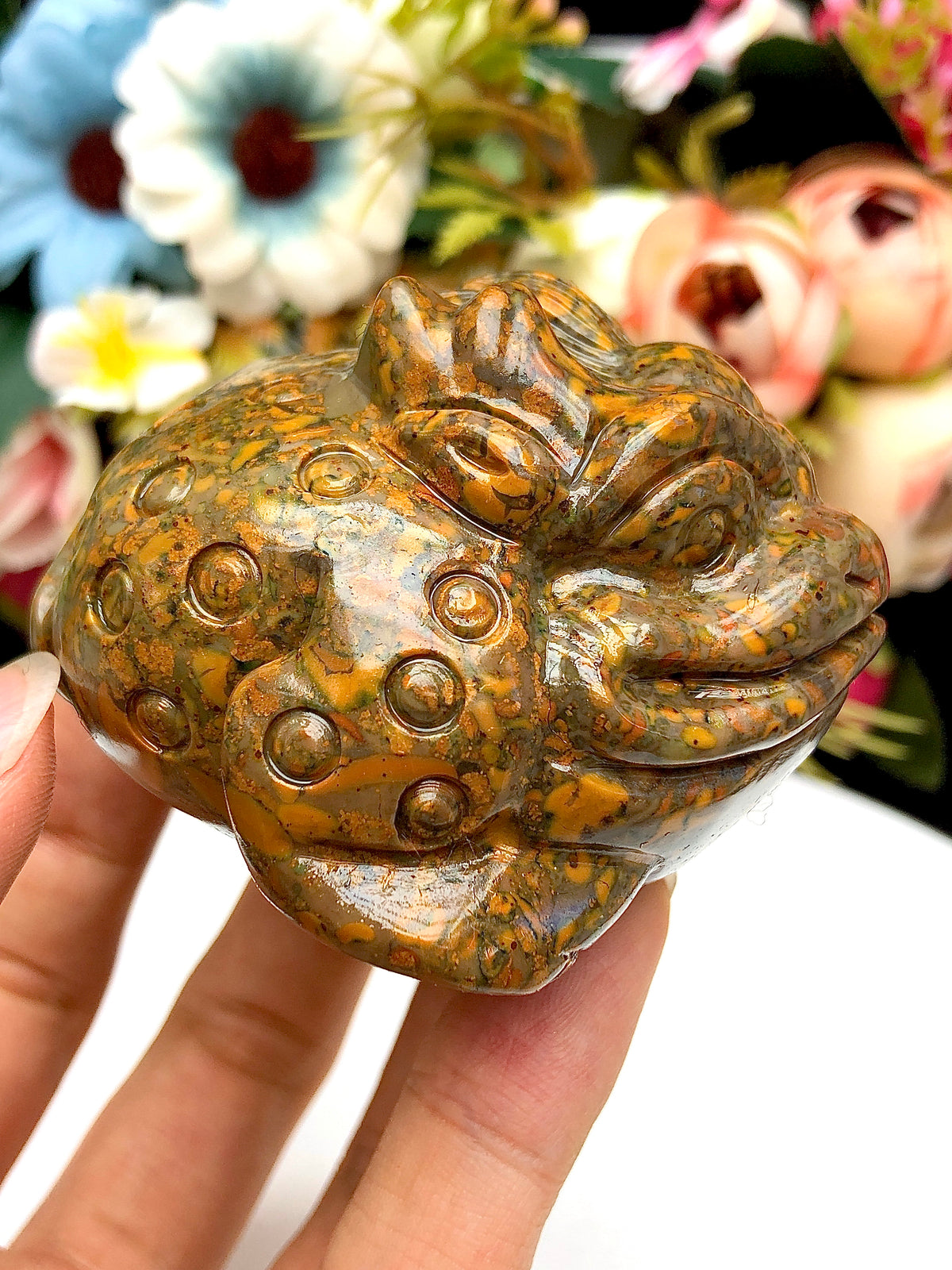 Fruit Jasper Money Toad