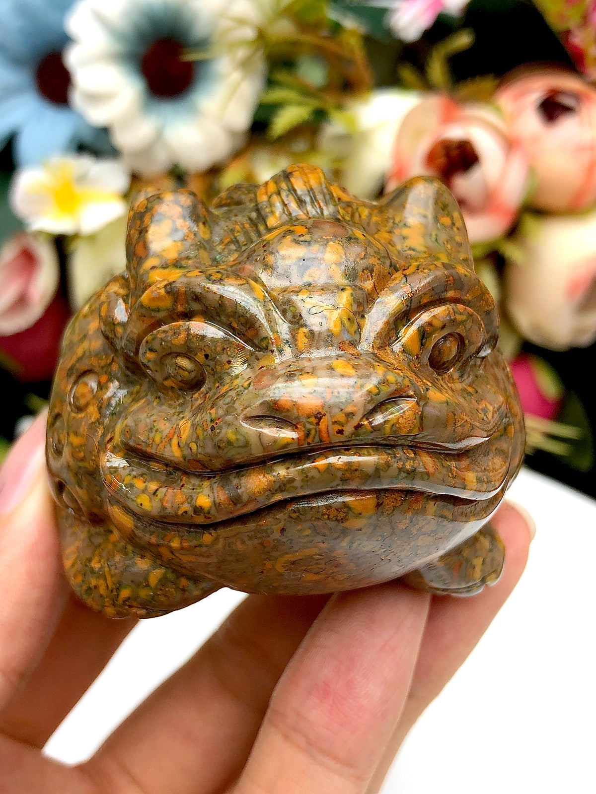 Fruit Jasper Money Toad