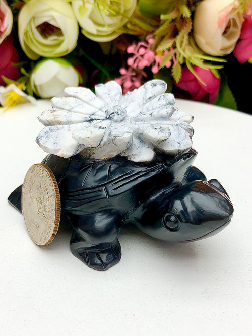 Chrysanthemum Stone Dragon Turtle