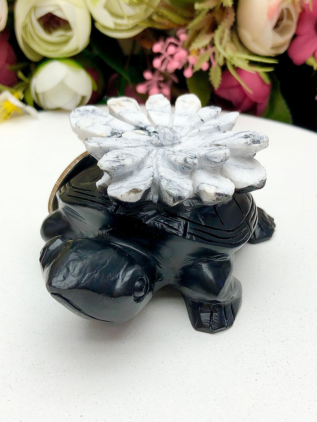 Chrysanthemum Stone Dragon Turtle
