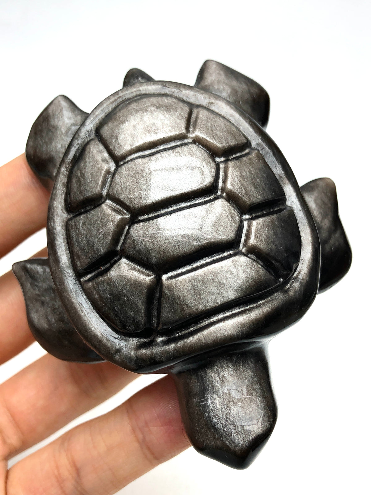 Sliver Obsidian Turtle