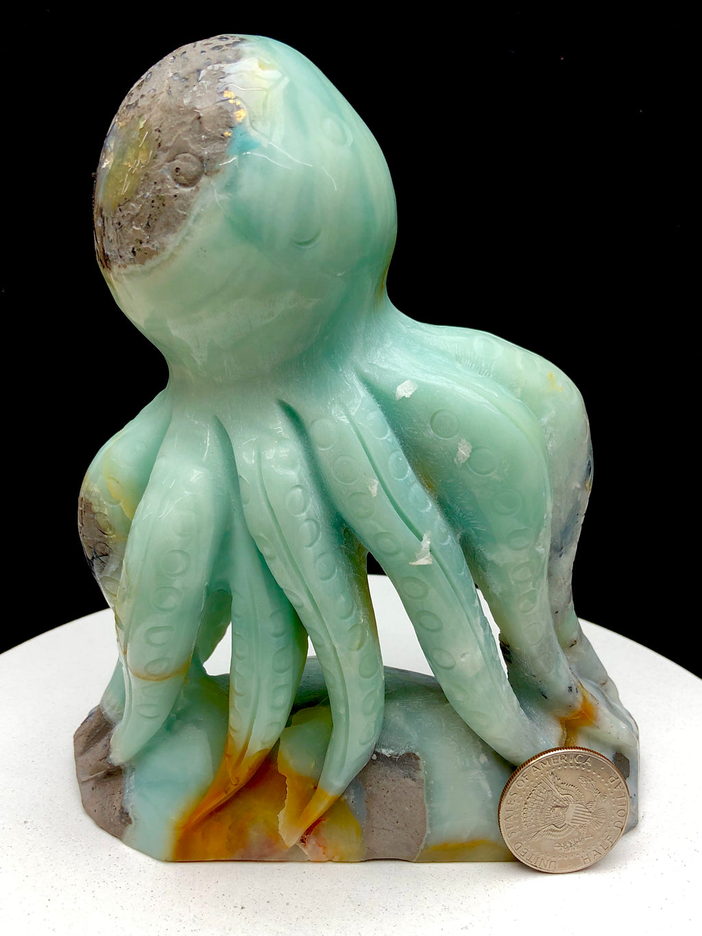 Caribbean Calcite Octopu