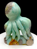 Caribbean Calcite Octopu