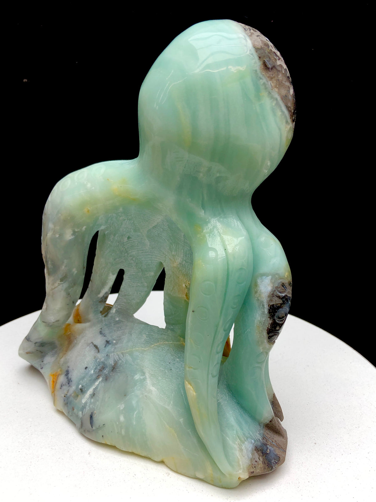 Caribbean Calcite Octopu