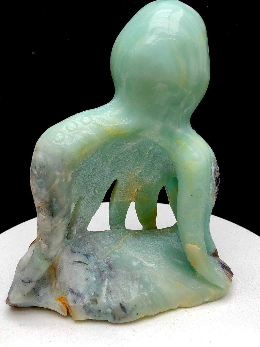 Caribbean Calcite Octopu