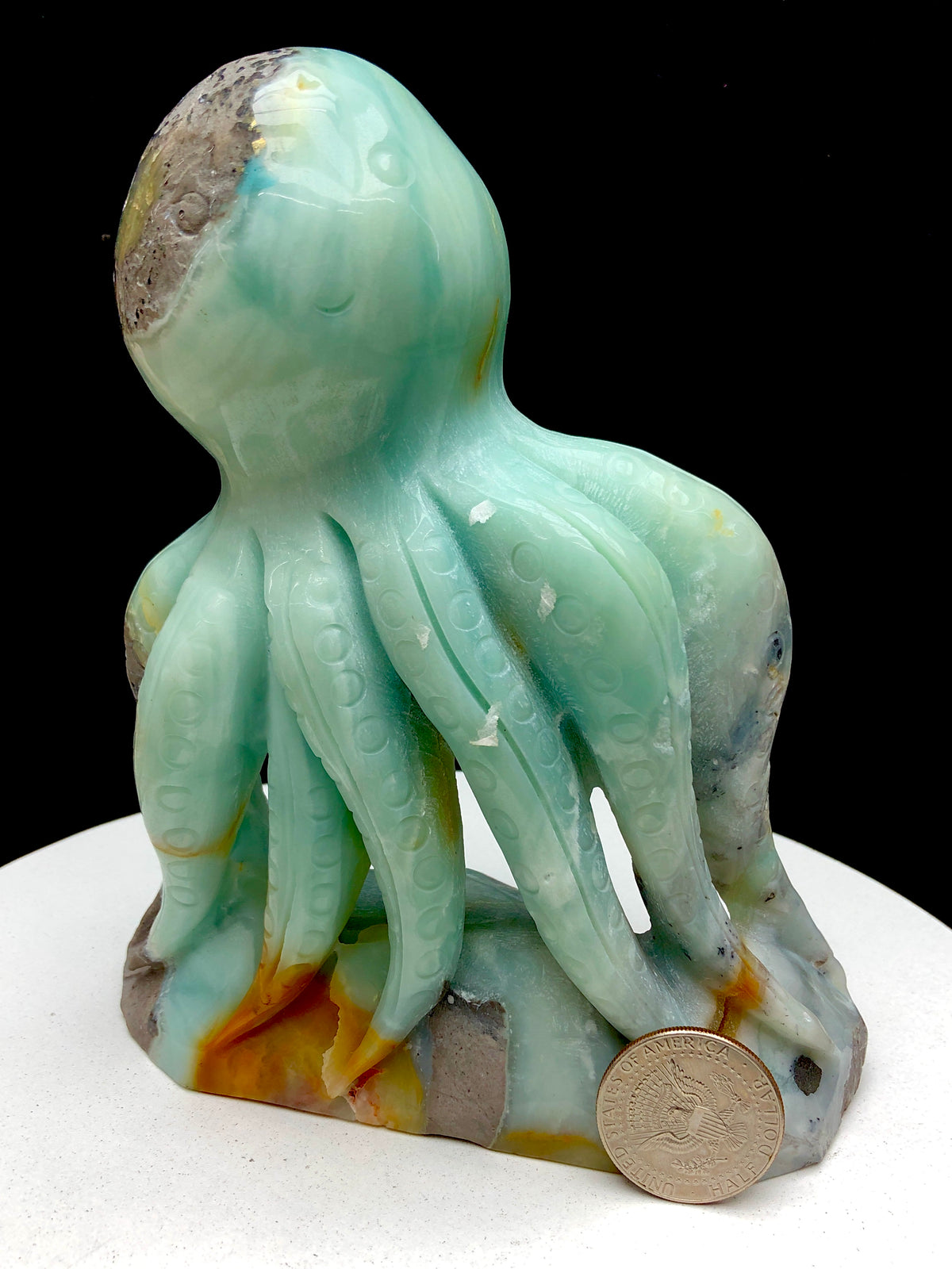 Caribbean Calcite Octopu
