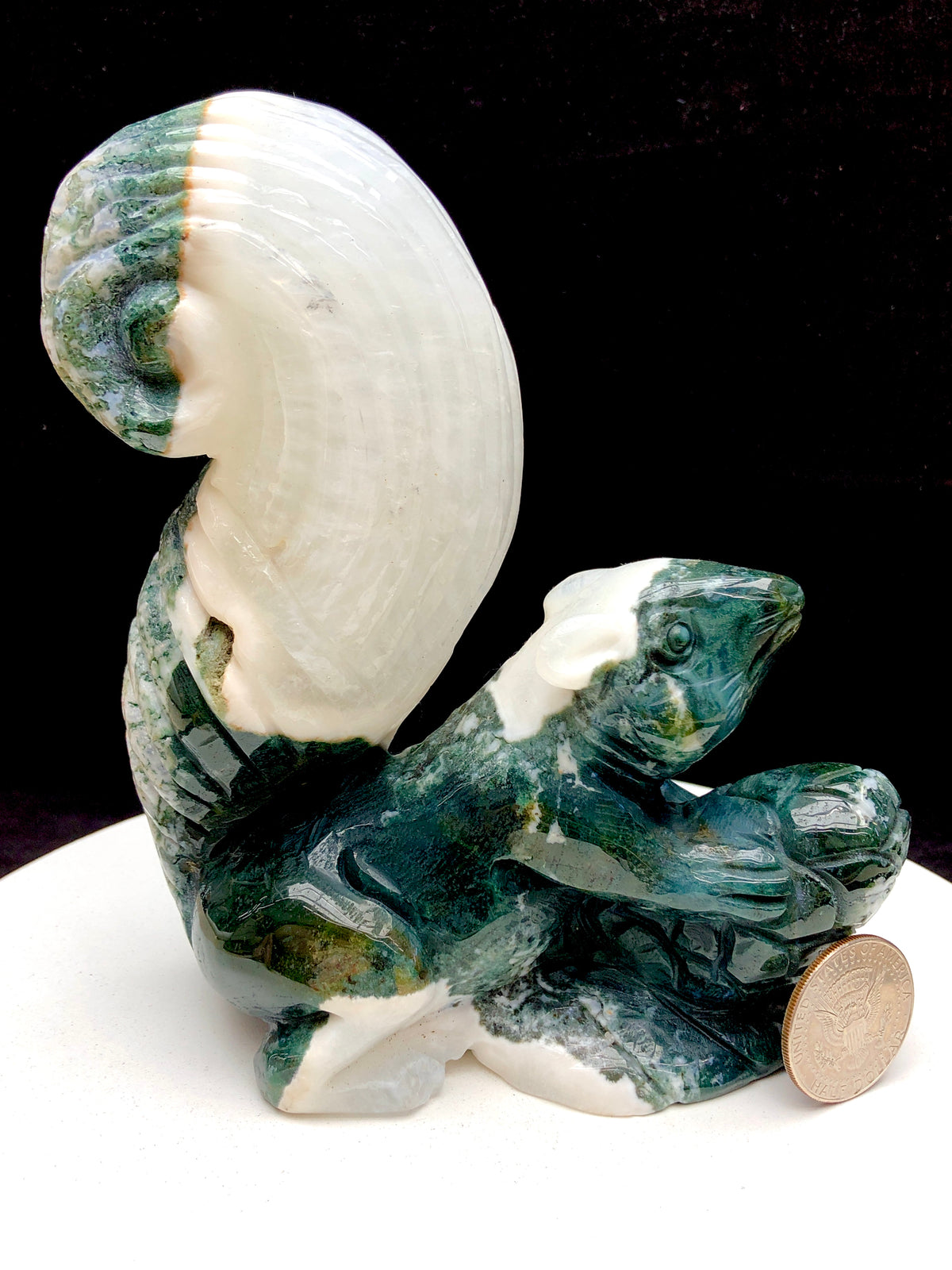 Ocean Jasper Squirrel