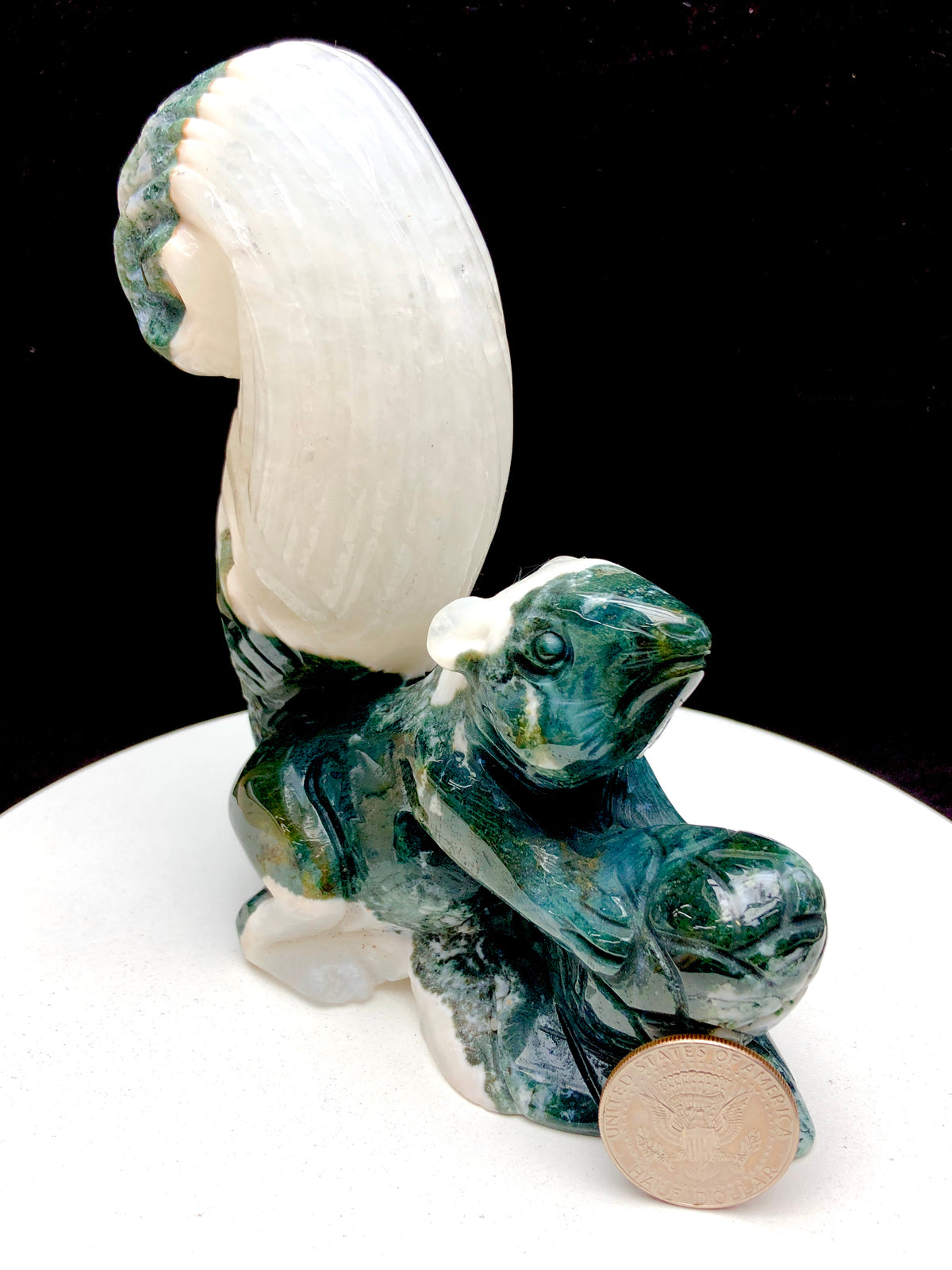 Ocean Jasper Squirrel