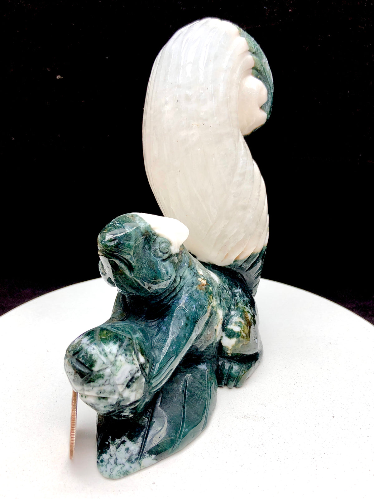 Ocean Jasper Squirrel