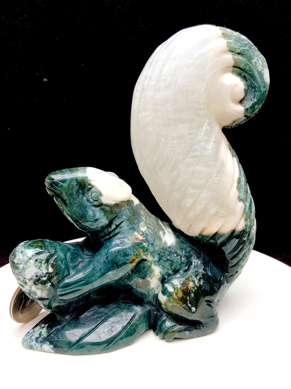 Ocean Jasper Squirrel