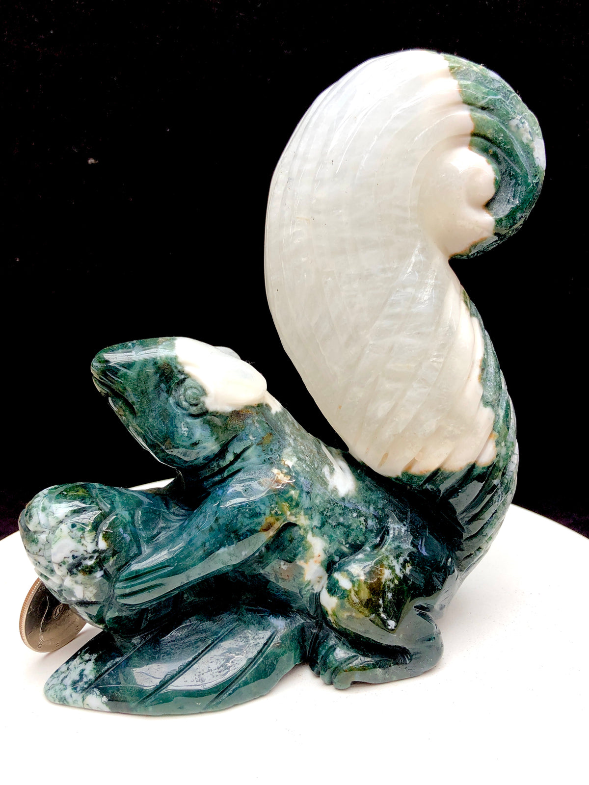 Ocean Jasper Squirrel