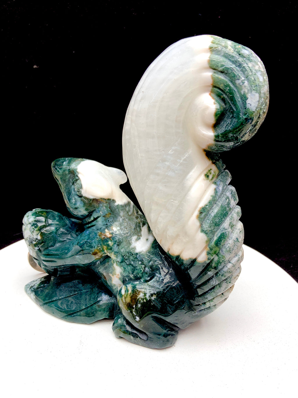 Ocean Jasper Squirrel