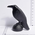 Obsidiana korva ĉizado 【15-12 USD ĉiu】 