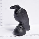 Obsidian Crow carving【$15-$12each】