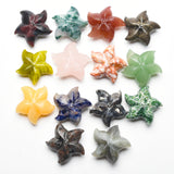 Starfish Carvings【New！small size】