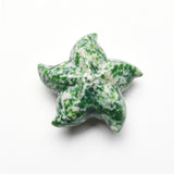 Starfish Carvings【New！small size】