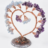 【money tree big size】heart shape & Weeping willow