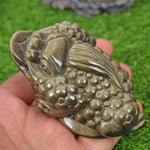 Dragon turtle and money frog carving