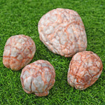 Red Vain agate human brain carving