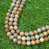 【Loose beads--Coral jade】