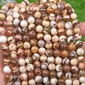 【Loose beads--Chocolate zebra】
